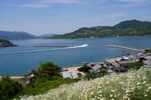 白波を立てて進む船