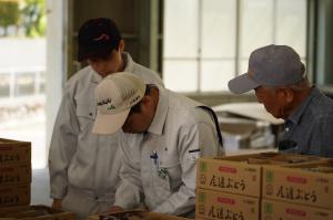 検品作業の写真