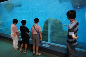 水槽を見ている子どもたちの写真